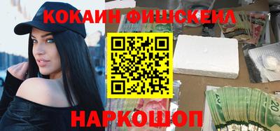 стаф Гатчина