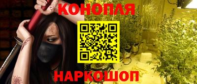 стаф Гатчина