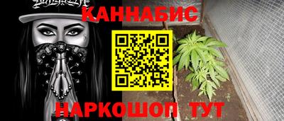 стаф Гатчина