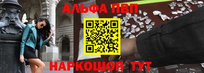 стаф Гатчина