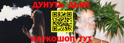 стаф Гатчина