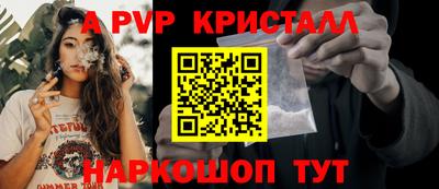 стаф Гатчина